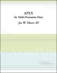 Apex Percussion Duet cover